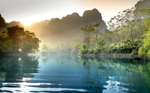 绿色绿色
